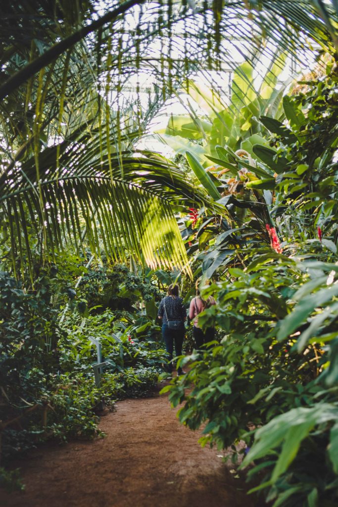 Foto: © Yannick Röösli